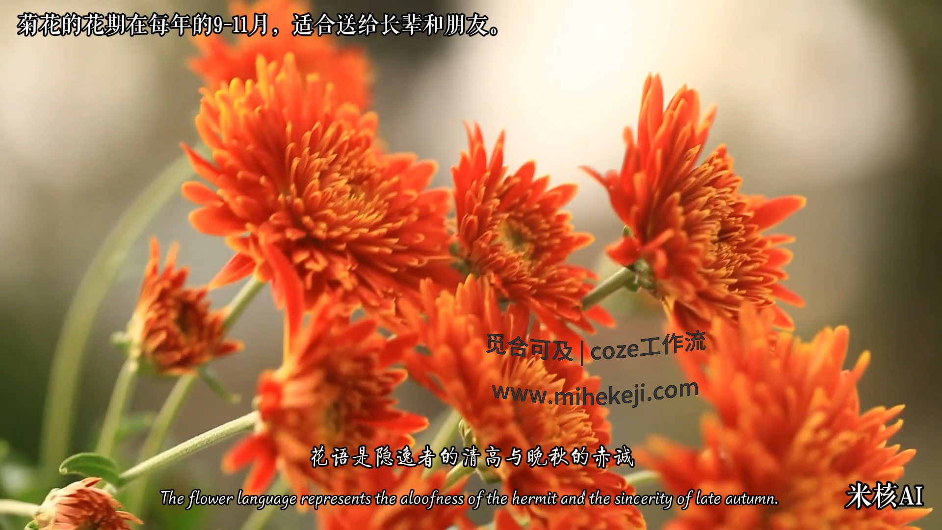 觅合可及 Coze工作流