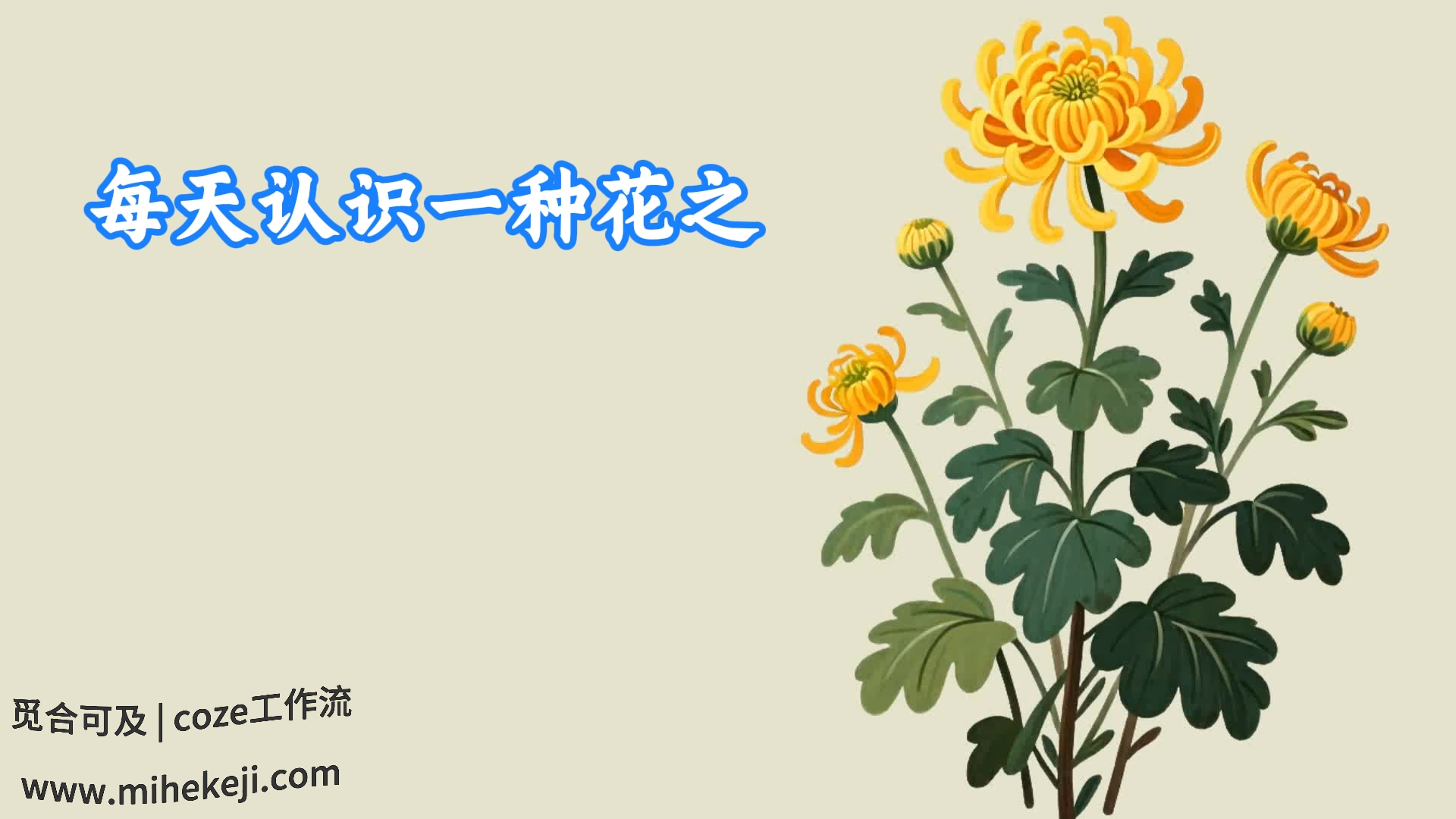 觅合可及 Coze工作流