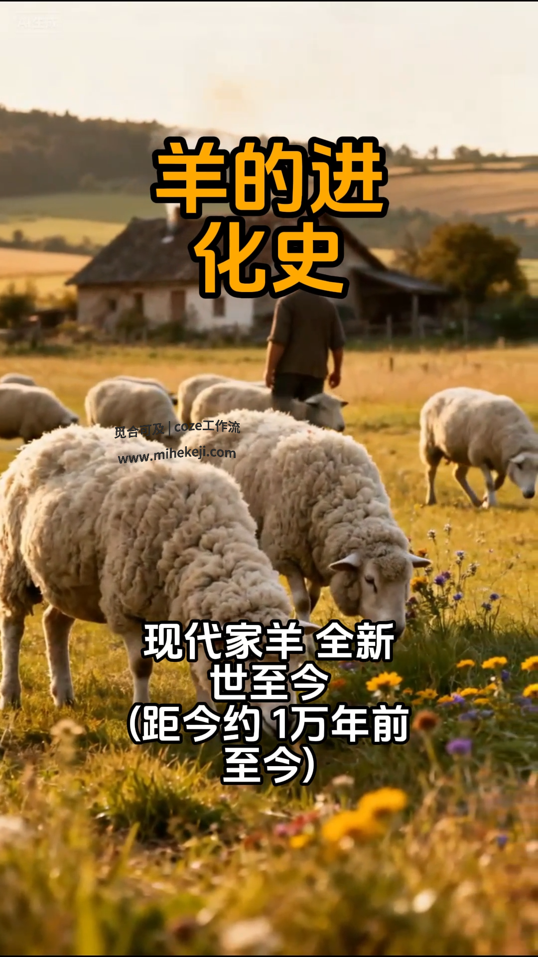 觅合可及 Coze工作流