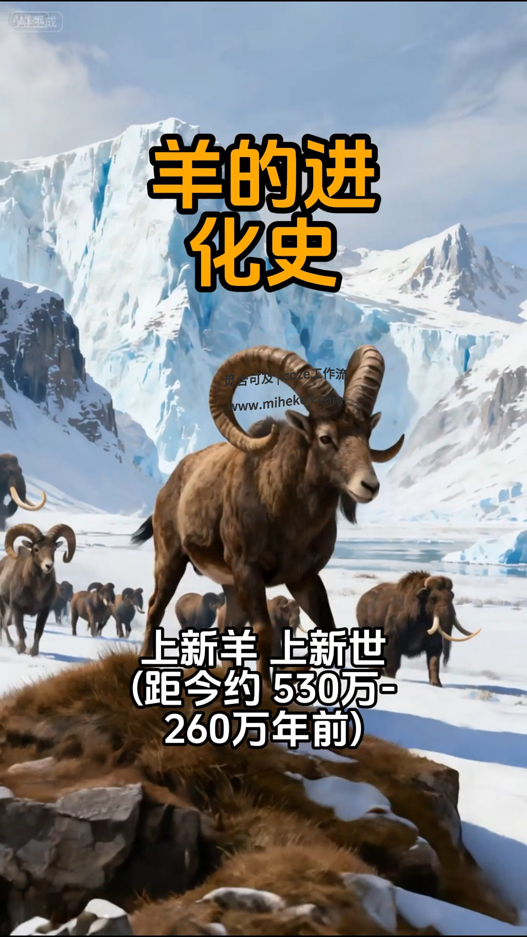 觅合可及 Coze工作流